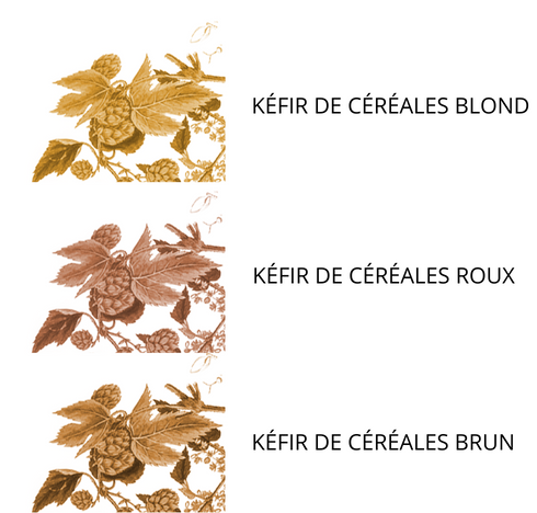 L’attribut alt de cette image est vide, son nom de fichier est declinaisons.png.